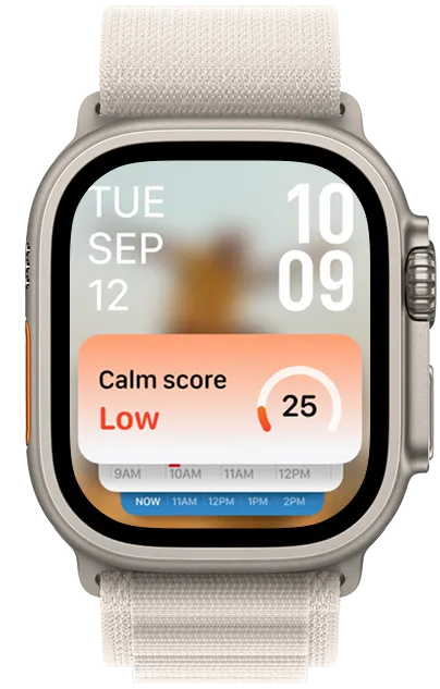 Pulse Coaching Watch screen 1